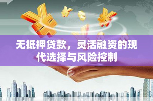 津市无抵押贷款，灵活融资的现代选择与风险控制