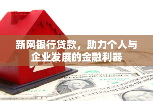 津市新网银行贷款，助力个人与企业发展的金融利器