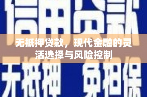 津市无抵押贷款，现代金融的灵活选择与风险控制