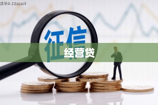 津市经营贷