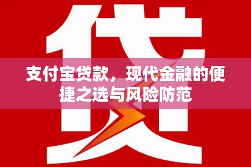 津市支付宝贷款，现代金融的便捷之选与风险防范