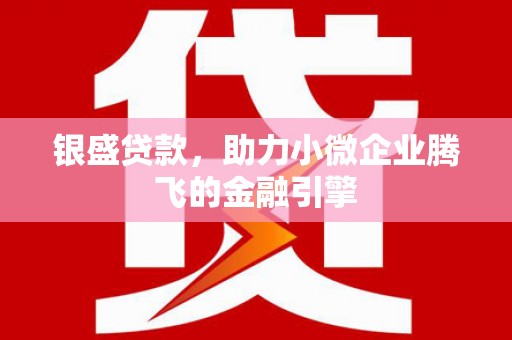 津市银盛贷款，助力小微企业腾飞的金融引擎