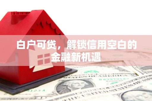 津市白户可贷，解锁信用空白的金融新机遇