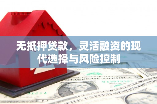 津市无抵押贷款，灵活融资的现代选择与风险控制