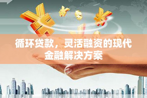 津市循环贷款，灵活融资的现代金融解决方案