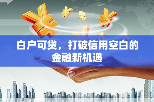 津市白户可贷，打破信用空白的金融新机遇