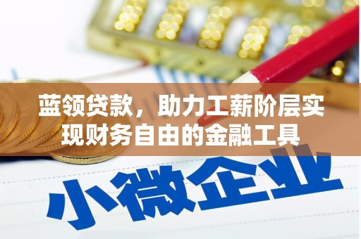 津市蓝领贷款，助力工薪阶层实现财务自由的金融工具