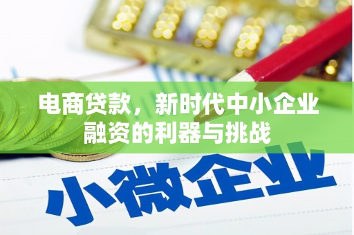 津市电商贷款，新时代中小企业融资的利器与挑战
