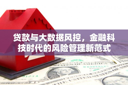 津市贷款与大数据风控，金融科技时代的风险管理新范式