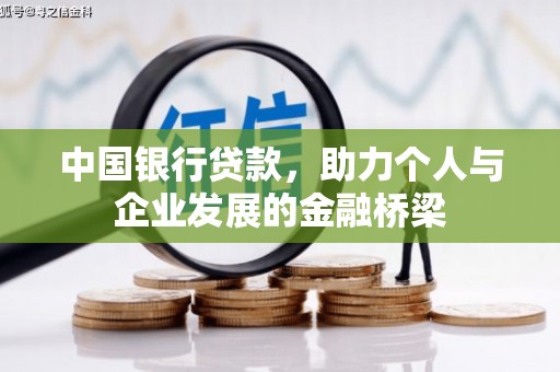 津市中国银行贷款，助力个人与企业发展的金融桥梁