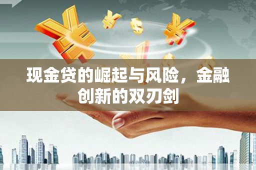 津市现金贷的崛起与风险，金融创新的双刃剑