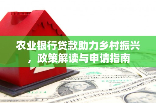 津市农业银行贷款助力乡村振兴，政策解读与申请指南