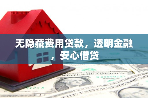 津市无隐藏费用贷款，透明金融，安心借贷