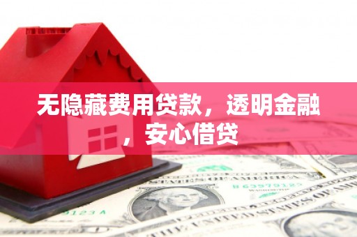 津市无隐藏费用贷款，透明金融，安心借贷