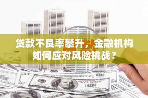 津市贷款不良率攀升，金融机构如何应对风险挑战？