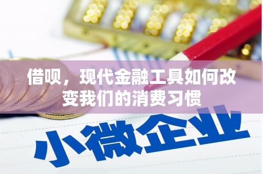 津市借呗，现代金融工具如何改变我们的消费习惯