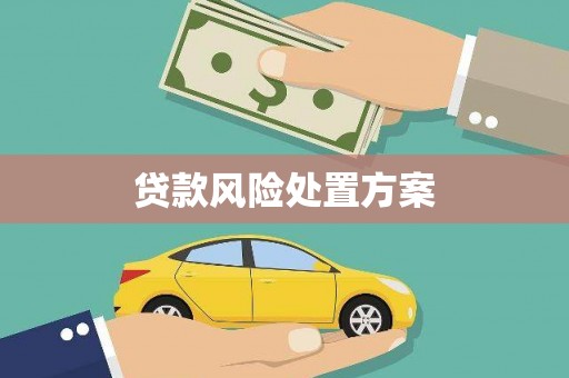 津市贷款风险处置方案