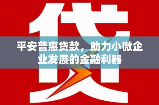 津市平安普惠贷款，助力小微企业发展的金融利器