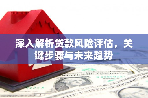 津市深入解析贷款风险评估，关键步骤与未来趋势