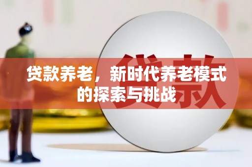 津市贷款养老，新时代养老模式的探索与挑战
