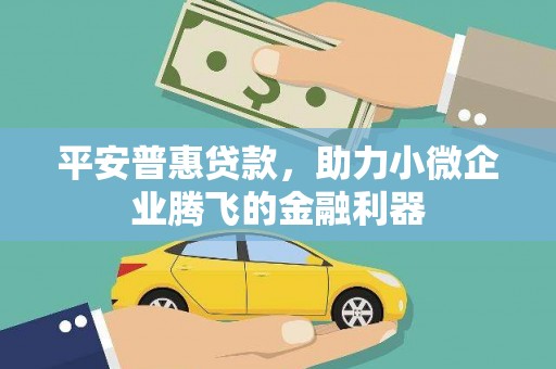 津市平安普惠贷款，助力小微企业腾飞的金融利器