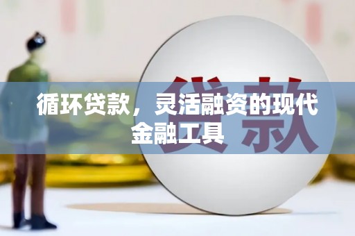 津市循环贷款，灵活融资的现代金融工具