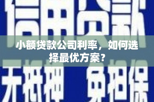 津市小额贷款公司利率，如何选择最优方案？