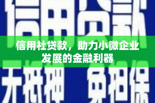 津市信用社贷款，助力小微企业发展的金融利器