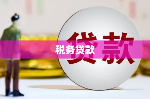 津市税务贷款