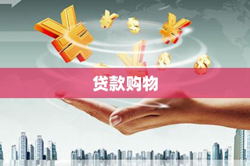 津市贷款购物