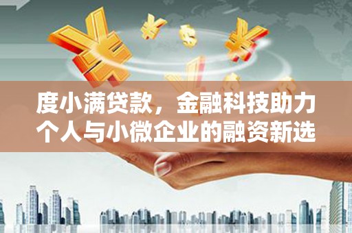 津市度小满贷款，金融科技助力个人与小微企业的融资新选择