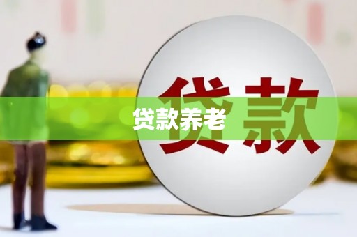 津市贷款养老