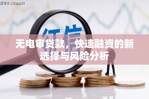 津市无电审贷款，快速融资的新选择与风险分析