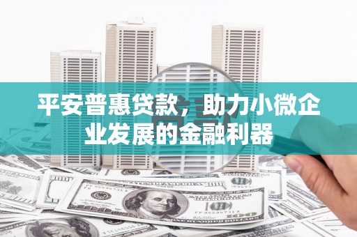 津市平安普惠贷款，助力小微企业发展的金融利器