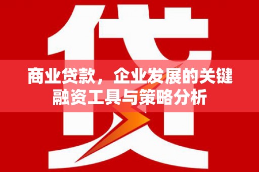津市商业贷款，企业发展的关键融资工具与策略分析