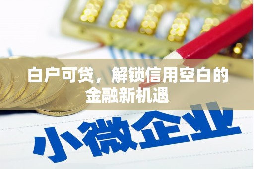 津市白户可贷，解锁信用空白的金融新机遇