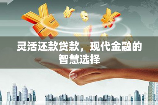 津市灵活还款贷款，现代金融的智慧选择