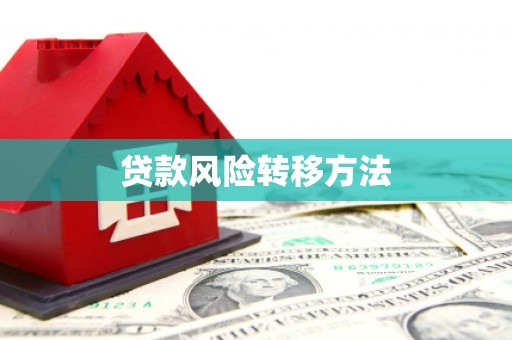 津市贷款风险转移方法