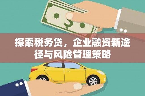 津市探索税务贷，企业融资新途径与风险管理策略