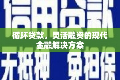津市循环贷款，灵活融资的现代金融解决方案