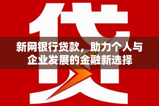 津市新网银行贷款，助力个人与企业发展的金融新选择
