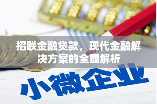 津市招联金融贷款，现代金融解决方案的全面解析