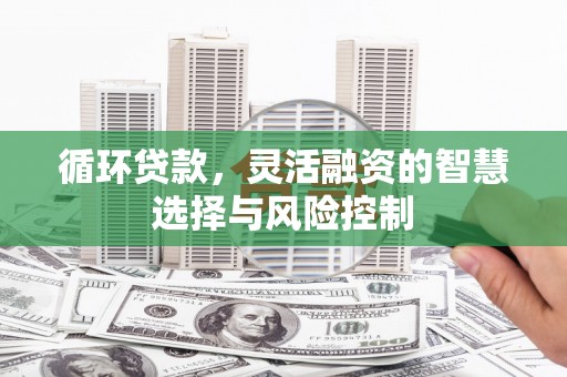 津市循环贷款，灵活融资的智慧选择与风险控制