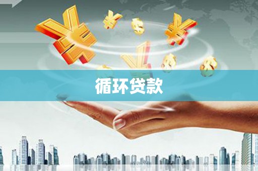 津市循环贷款