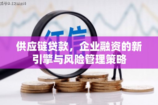 津市供应链贷款，企业融资的新引擎与风险管理策略
