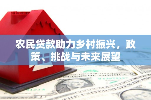 津市农民贷款助力乡村振兴，政策、挑战与未来展望