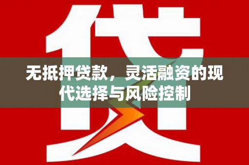 津市无抵押贷款，灵活融资的现代选择与风险控制