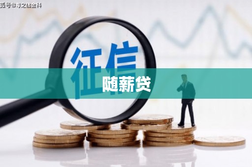 津市随薪贷