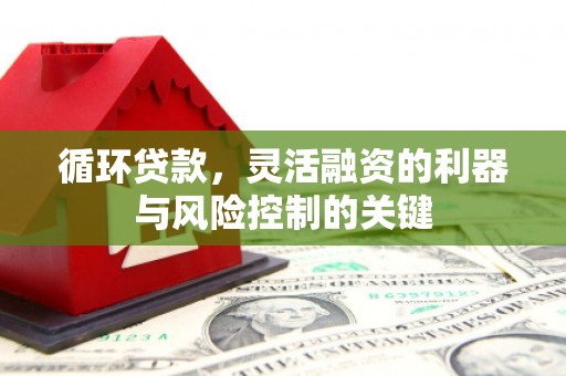 津市循环贷款，灵活融资的利器与风险控制的关键