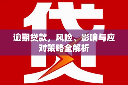 津市逾期贷款，风险、影响与应对策略全解析